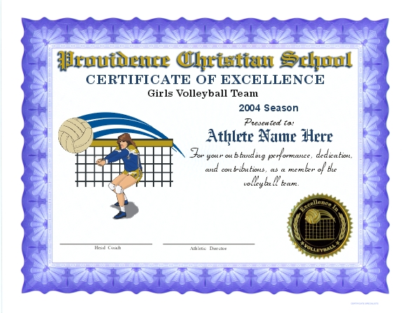 Volleyball Certificates